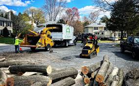Best Lot and Land Clearing  in Toro Nyon, CA